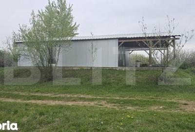 Spațiu comercial, de 106 mp, în Livada - 6