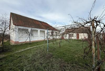 Casa de vanzare in Firiteaz, 24 km de Arad, 2787 metri patra?i. - 5