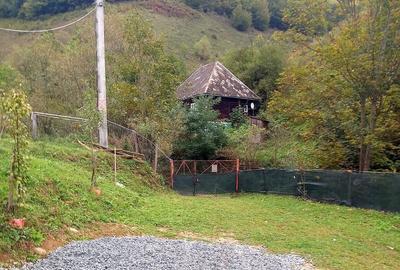 Casa de vanzare in Bistra -3800 mp teren - 5