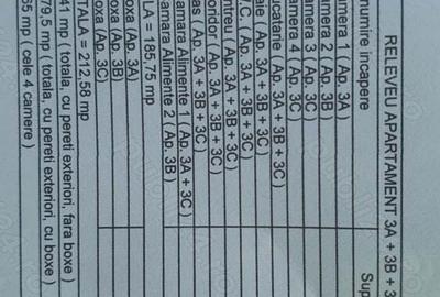 Apartament 4 camere (cladire istorica) - 3