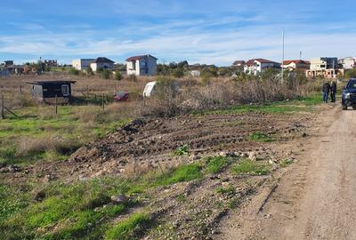 Teren intravilan construibil Techirghiol - 4