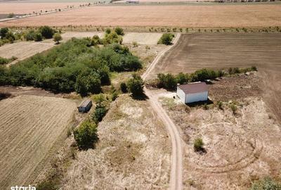 Teren de 1000 mp, în Sinești - 2