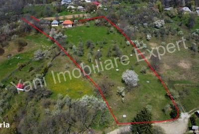 Casă cu 2 camere în Doblea - 4