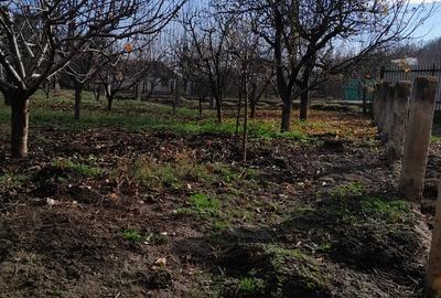 Stolniceni Prajescu vand casa - 5