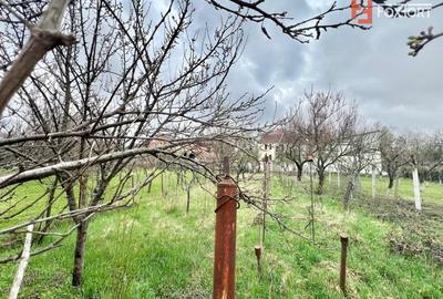 Casa individuala cu 3 camere si teren de 952 mp, zona Crisan - 6