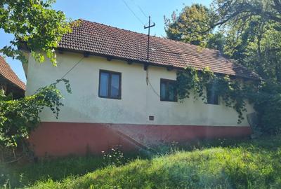 Casă cu 4 camere în Criștioru de Jos - 4