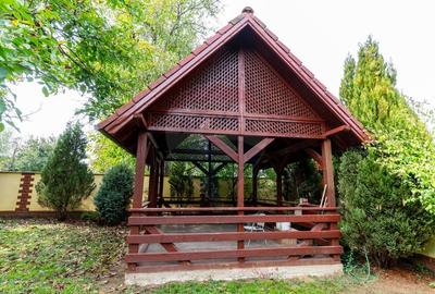 Vila /Pensiune 6 camere in Cristur, jud Hunedoara - 51