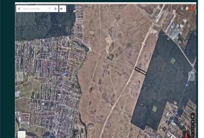 TEREN INTRAVILAN 10.000MP / FS 30ML - MILLO PRELUNGIRE TEREN INTRAVILAN 10.000MP / FS 30ML - MILLO PRELUNGIRE - 2