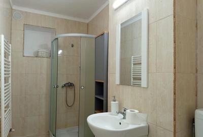 Apartament cu 2 camere semidecomandat în Gojdu - 3