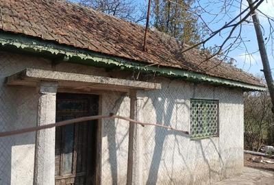 Casă cu Teren 1000 Mp în Cerchezu - 7