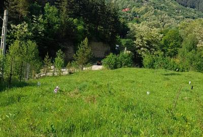 Teren de 4000 mp, în Lopătari - 4