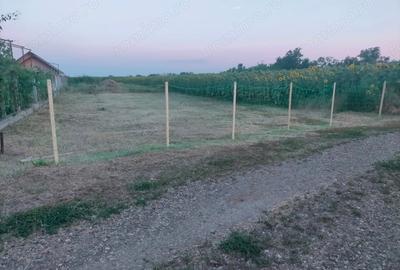 Teren de 1460 mp, în Siretu (Săucești) - 3