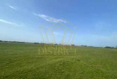 Teren arabil extravilan langa centura de Sud | Giroc Teren arabil extravilan langa centura de Sud | Giroc - 4