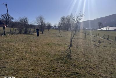 Teren de 3020 mp, în Negreni - 3