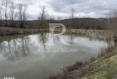 Spațiu comercial, în Rontău - 3