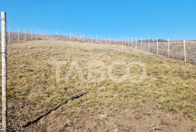 Teren de 508 mp, în Șura Mare - 3