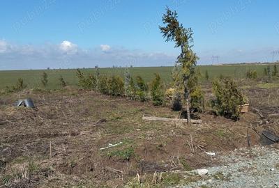 Teren de 355 mp, în Poiana - 4