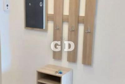 Garsonieră decomandată, mobilată în Turnișor - 3