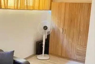 Apartament cu 2 camere nedecomandat în Dâmbu Pietros - 7