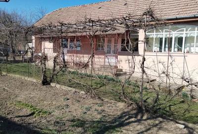 Casă cu 2 camere cu Teren 560 Mp în Morești - 9