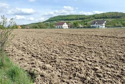 Teren intravilan in Razoare - 4