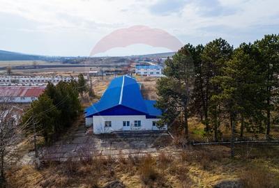 Spațiu industrial, de 800 mp, în Traian - 13