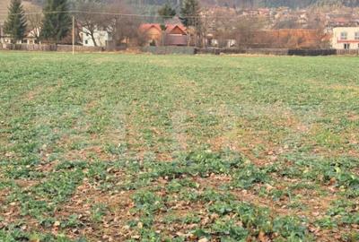 Teren de vanzare in Zarne?ti 1150 m2, pozi?ie exce - 4