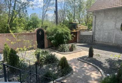 Casă cu 3 camere cu Teren 2000 Mp în Băcia - 7