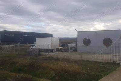 Hala spre inchiriere! - 3