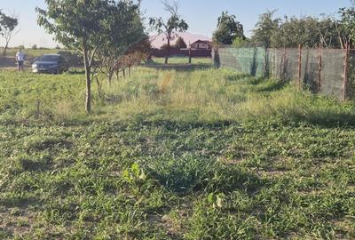 Teren 5,000mp Rusi-Ciutea / Strada Margaretelor - 6