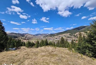 Teren de 26350 mp, în Vama - 1