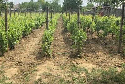 Teren de 1000 mp, în Valea Călugărească - 1