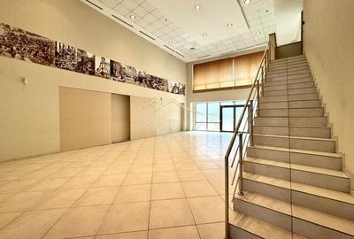 Spatiu comercial stradal *184mp* + curte *260mp* // Grozavesti - 3