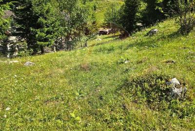 Teren de vis in Fundata 1934mp sau 3868mp, la inal?im... - 4