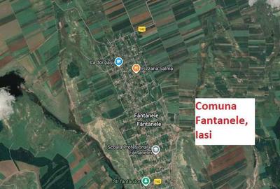 Teren de 10000 mp, în Nord-Vest - 2