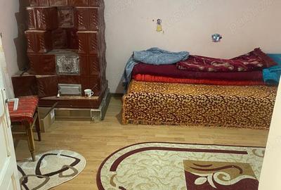 Casă în Bertea - 6