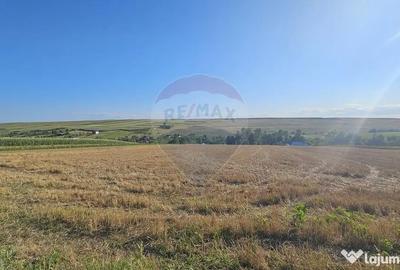 Teren de 7500 mp, în Moara - 9