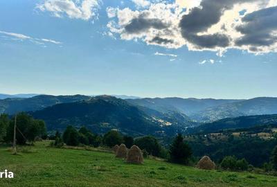 Spațiu comercial, în Horea - 4