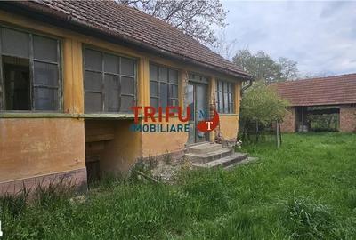 Casă cu 2 camere cu Teren 3101 Mp în Galda de Jos - 5
