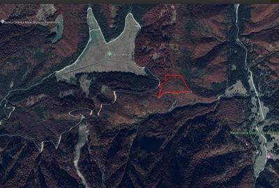 Teren extravilan de 69450 mp, în Arefu - 5