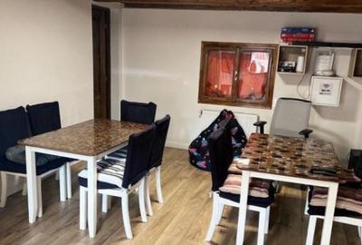 Cabana cu 4 dormitoare, foisor, ciubar, Statiunea Muntele Ba - 30