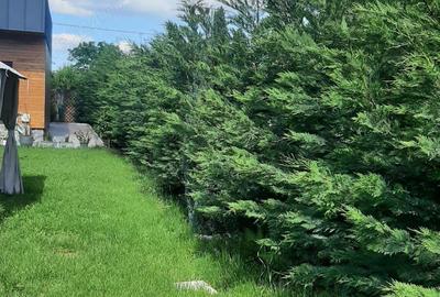 Casa pe parter cu curte 1000 mp - 2