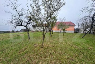 Casa individuala, 3300 mp teren, zona Sintereag - 2