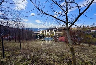 Casă individuală cu 5 camere cu Teren 2418 Mp în Exterior Sud - 2