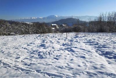 Teren 1344 mp  de vanzare cu autorizatie de constructie str Cindrel - 5