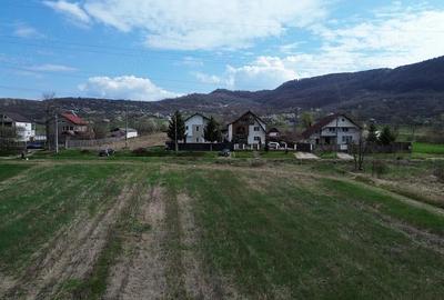 Teren de 6581 mp, în Jiblea Nouă - 1