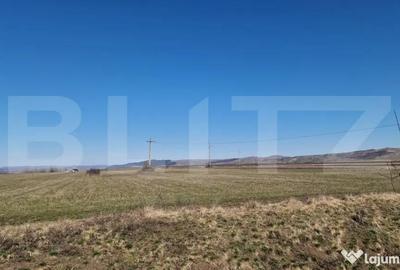 Teren în Jucu - 4
