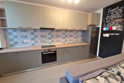 La ISHO-Locatie privilegiata in centrul orasului pe malul Raului Bega, parcare - 15