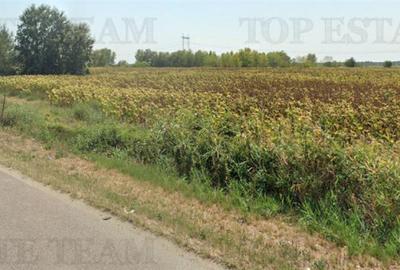 Teren cu pozitionare excelenta la A1, sensul Pitesti Bucure - 7