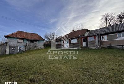 Casă cu 4 camere cu Teren 2231 Mp în Cerbăl - 6
